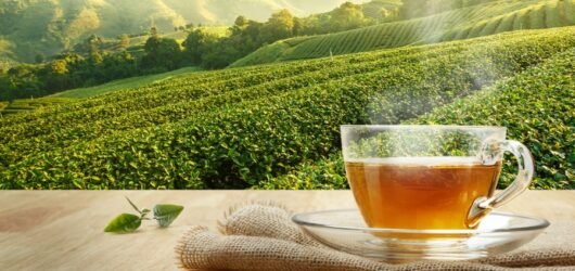 Té Verde y sus 5 Beneficios
